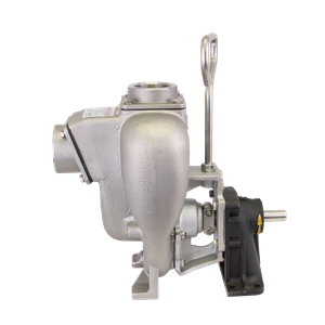 Bomba de Pedestal 200PB-SS, 2'' Acero Inoxidable 316-FKM (VITON)