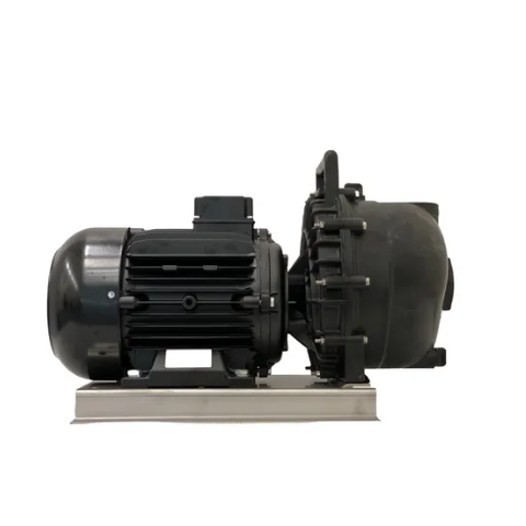 Motobomba 230PPWEEV5 2" MONOBLOC ELÉTRICO 5.5CV PP-VITON